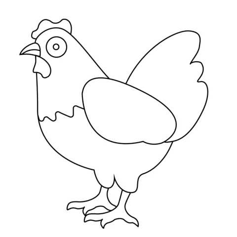 chicken (2)