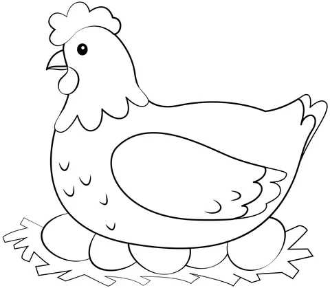 chicken (20)