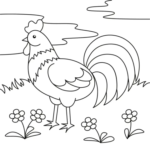 chicken (22)
