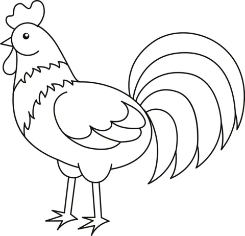 chicken (23)