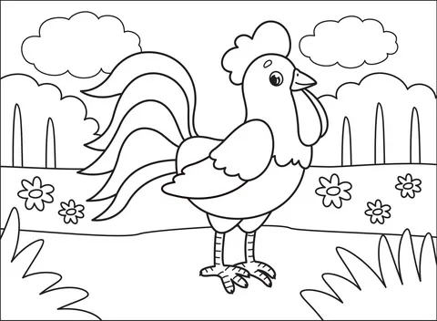 chicken (24)