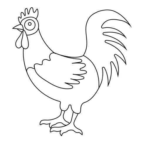 chicken (4)