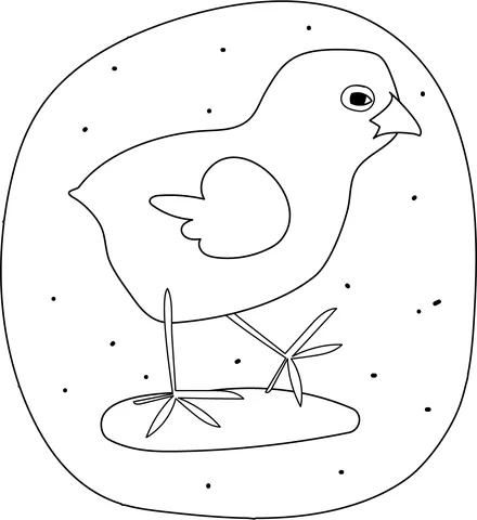 chicken (8)
