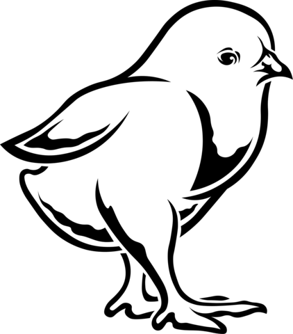 chicken (9)
