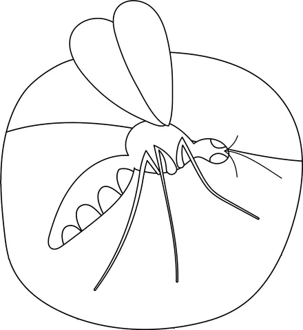 dengue mosquito (10)