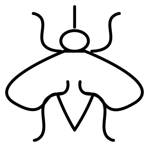 dengue mosquito (2)