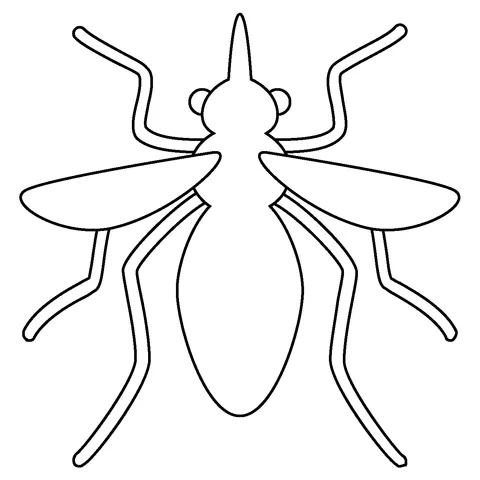 dengue mosquito (3)