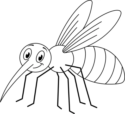 dengue mosquito (6)
