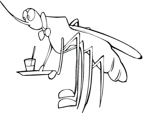 dengue mosquito (7)