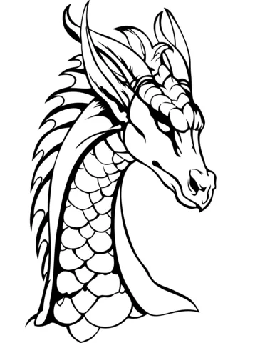dragon (10)