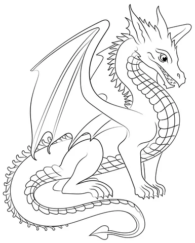dragon (12)