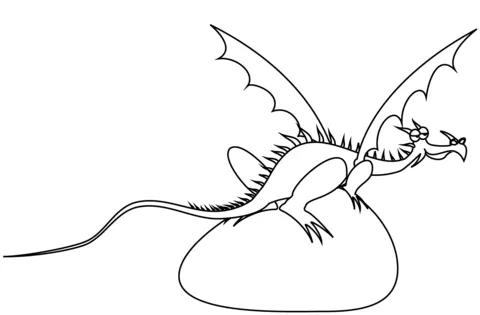 dragon (13)