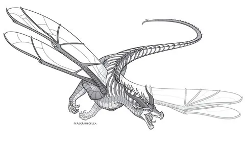dragon (15)