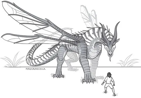 dragon (16)