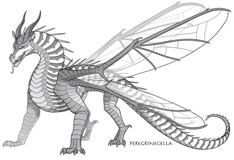 dragon (17)
