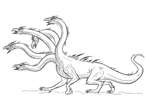 dragon (18)