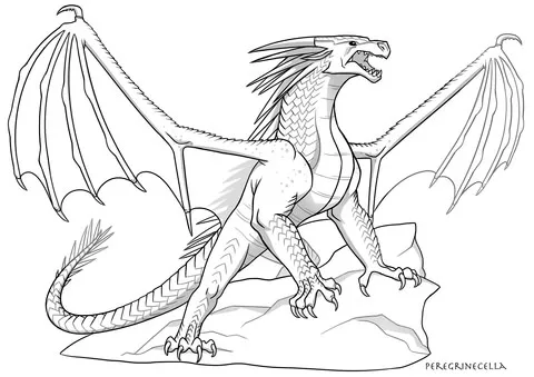 dragon (19)