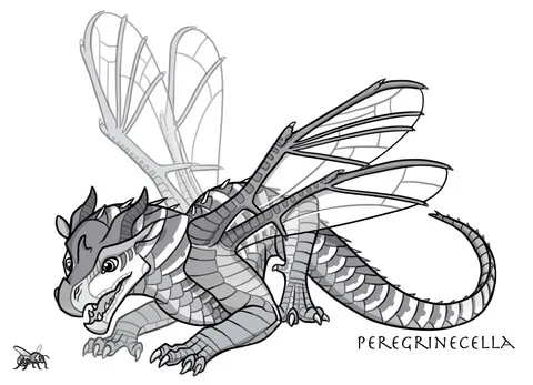 dragon (2)