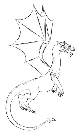 dragon (21)