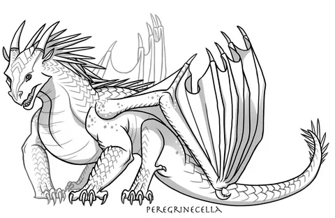dragon (3)