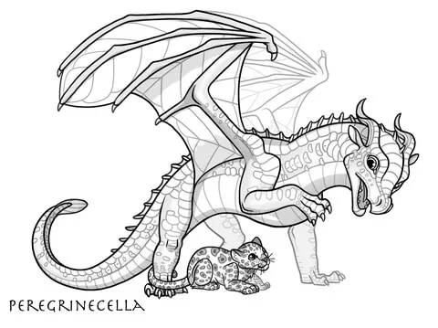 dragon (4)