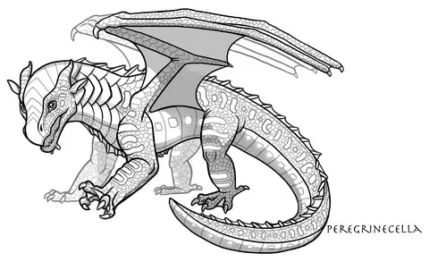 dragon (5)