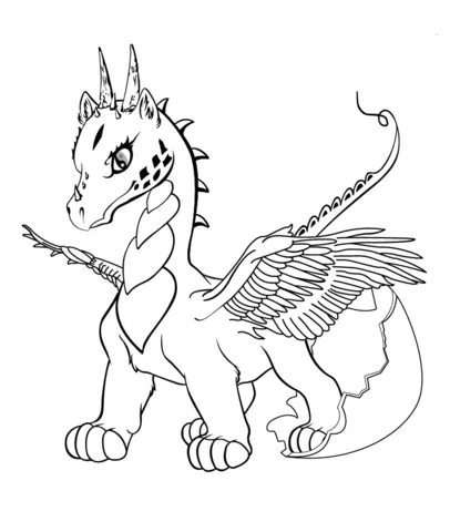dragon (6)