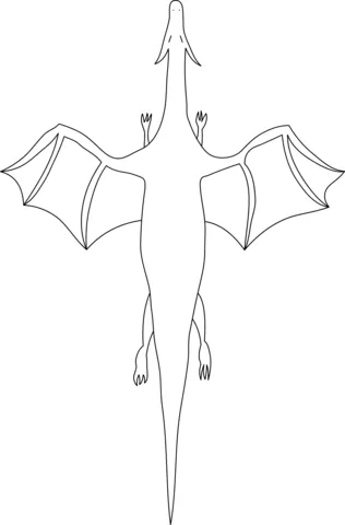 dragon (9)