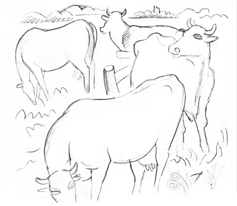 farm (12)