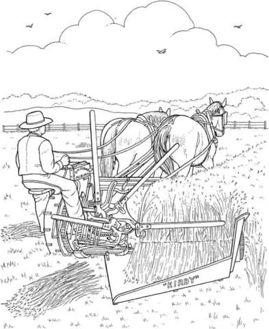 farm (13)