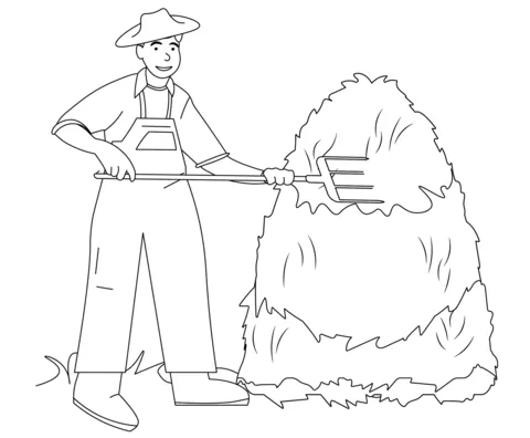 farm (16)