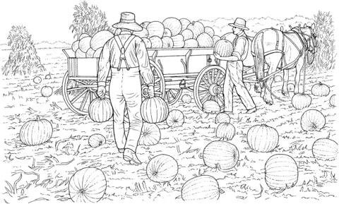 farm (17)