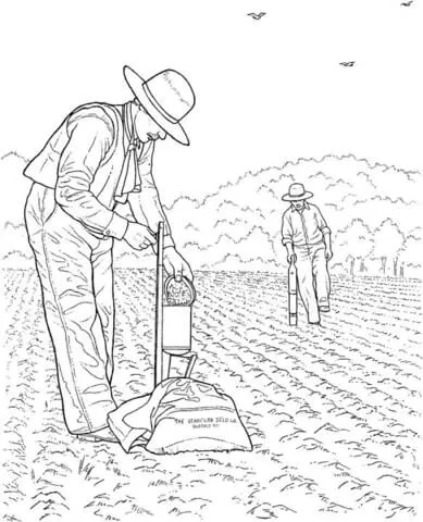 farm (18)
