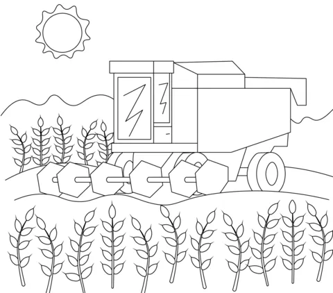 farm (19)
