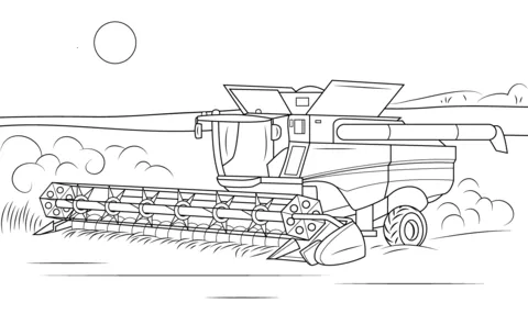 farm (20)