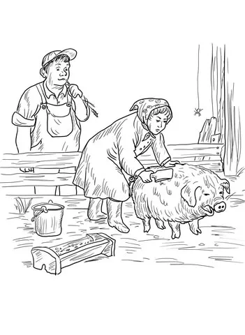 farm (21)
