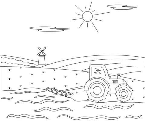 farm (23)