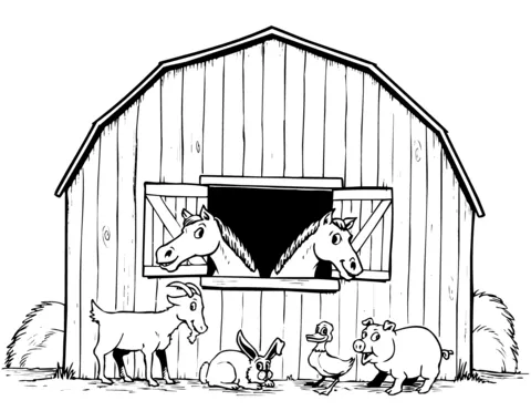 farm (7)