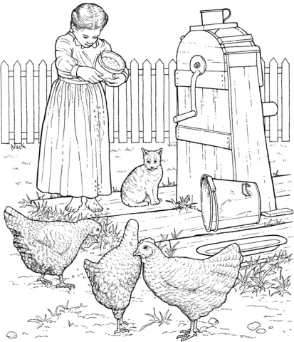 farm (9)