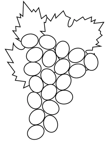 grape (18)