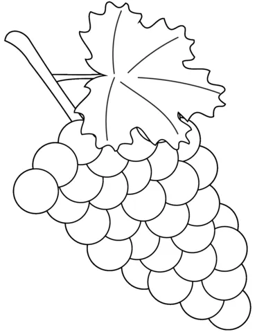 grape (19)