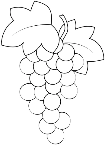 grape (25)