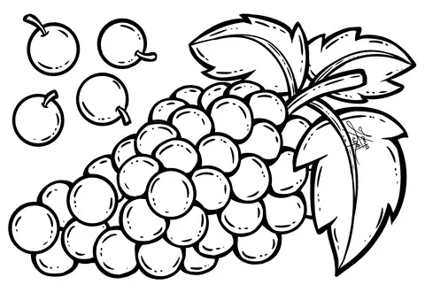 grape (3)