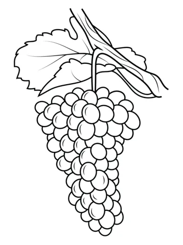 grape (5)
