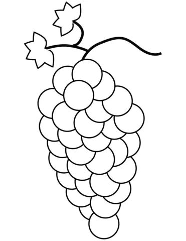 grape (6)