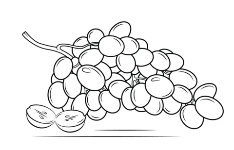 grape (9)