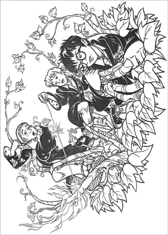 harry potter (13)