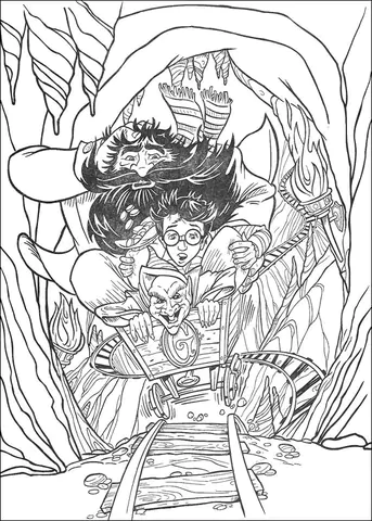 harry potter (15)