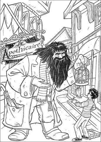 harry potter (9)