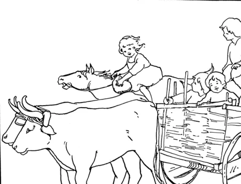 ox (11)